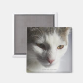 Kat Magneet (Voorkant / Achterkant)