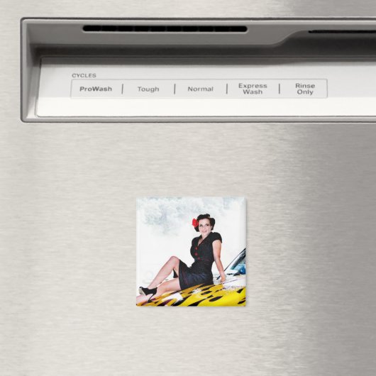 Kat Magneet (Insitu (Vaatwasser))