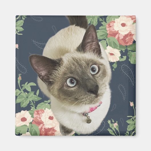  Kat Magneet (Voorkant)