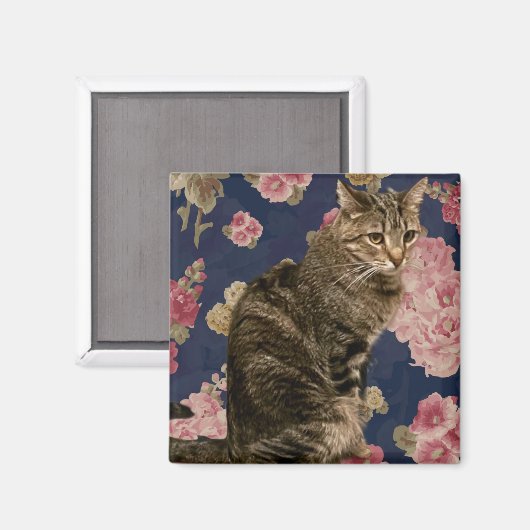  Kat Magneet (Voorkant / Achterkant)