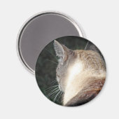Kat Magneet (Voorkant / Achterkant)