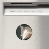 Kat Magneet (Insitu (Vaatwasser))