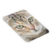 Kat Magneet (Rechterzijde)