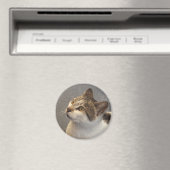 Kat magneet (Insitu (Vaatwasser))
