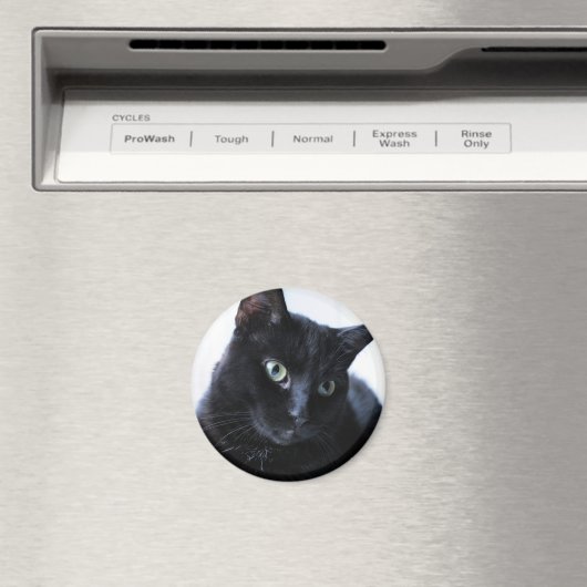 kat magneet (Insitu (Vaatwasser))