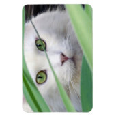 Kat  magneet (Verticaal)