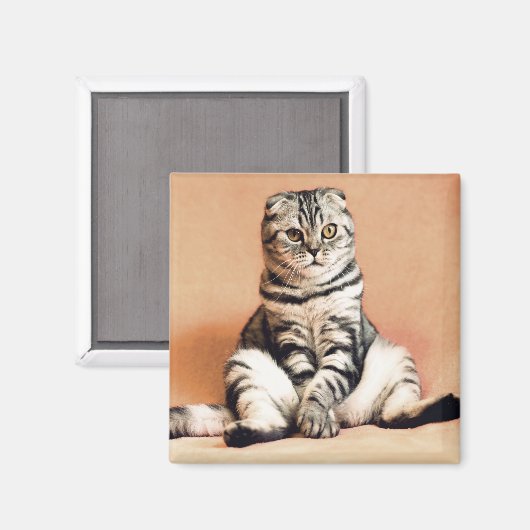 Kat Magneet (Voorkant / Achterkant)