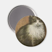 Kat Magneet (Voorkant / Achterkant)