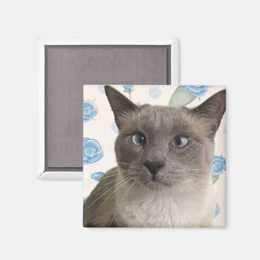  Kat Magneet (Voorkant / Achterkant)