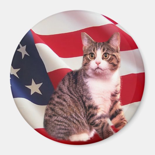 Kat Magneet Alle Amerikaans (Voorkant)