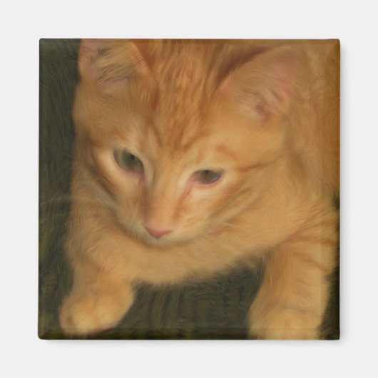 Kat Magnet (Voorkant)