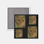 Kat Magnet (Voorkant / Achterkant)