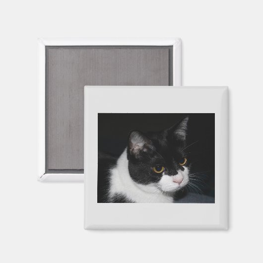  Kat Magnet (Voorkant / Achterkant)