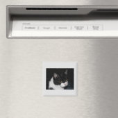  Kat Magnet (Insitu (Vaatwasser))