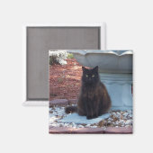 Kat Magnet (Voorkant / Achterkant)