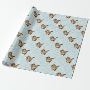 Kat, Maine Coon Cadeaupapier