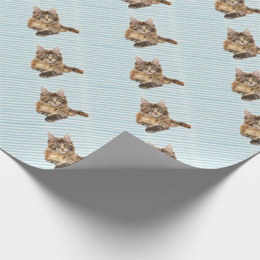 Kat, Maine Coon Cadeaupapier (Hoek)