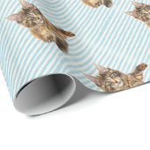 Kat, Maine Coon Cadeaupapier (Rol Hoek)