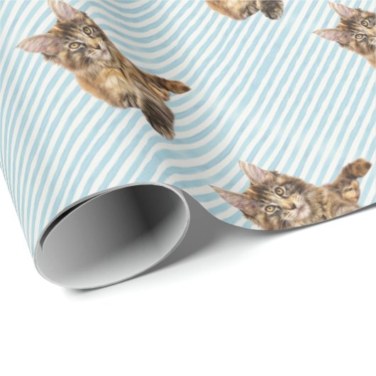 Kat, Maine Coon Cadeaupapier (Rol Hoek)