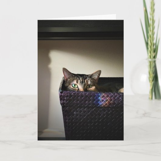 Kat mandje, kaart (Voorkant)