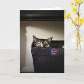 Kat mandje, kaart (Gele Bloem)