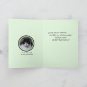 Kat, Maximum 1 - pas voor om het even welke Kaart (Binnen)