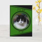 Kat, Maximum 1 - pas voor om het even welke Kaart (Gele Bloem)