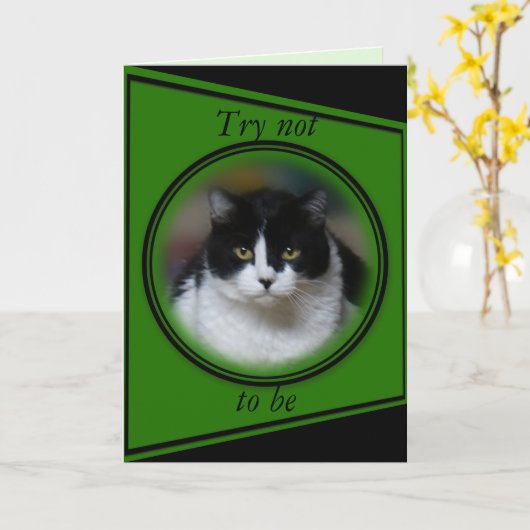 Kat, Maximum 1 - pas voor om het even welke Kaart (Gele Bloem)