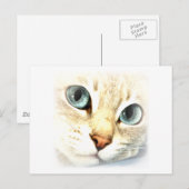 Kat mesmerEYS Briefkaart (Voorkant / Achterkant)