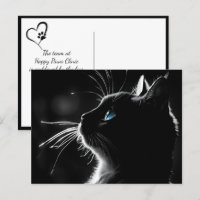 Kat met achtergrondlicht Verlies van huisdier cond