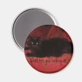 Kat met Attitude Magnet (Voorkant / Achterkant)