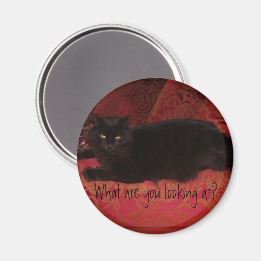 Kat met Attitude Magnet (Voorkant / Achterkant)