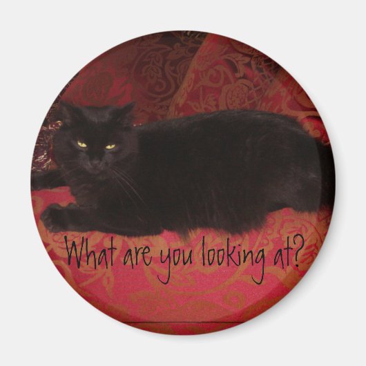 Kat met Attitude Magnet (Voorkant)