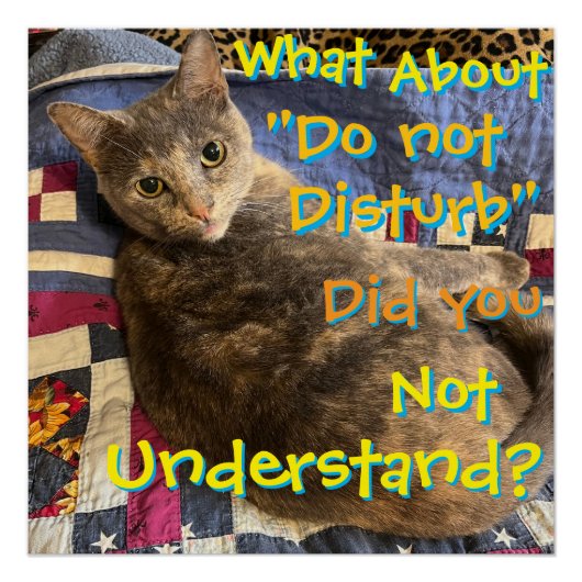 Kat met attitude poster (Voorkant)