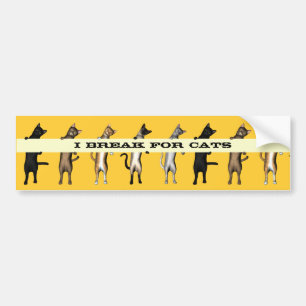 Kat met banner bumpersticker