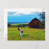 Kat met Barns Briefkaart (Voorkant / Achterkant)