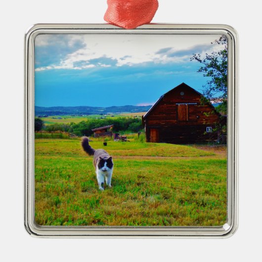 Kat met Barns Metalen Ornament (Voorkant)