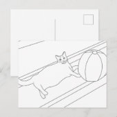 Kat met beachball, kleurstoffen briefkaarten (Voorkant / Achterkant)