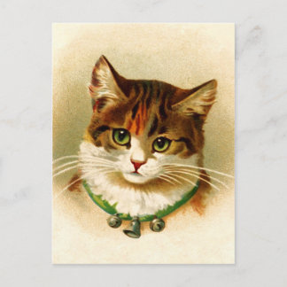Kat met belletje briefkaart