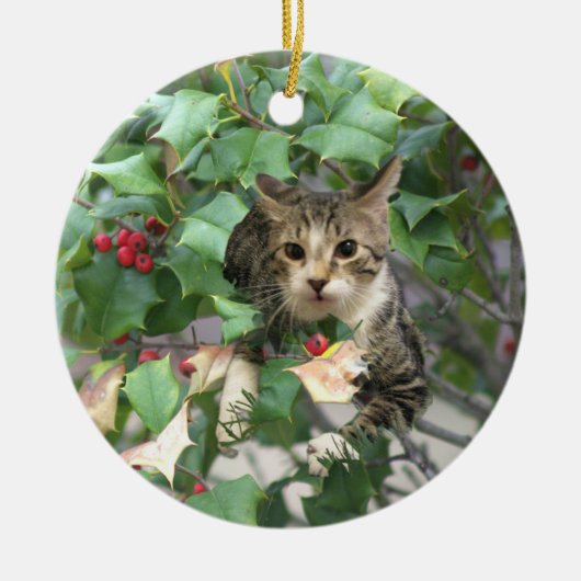 Kat met bessen Holly Ornament (Voorkant)