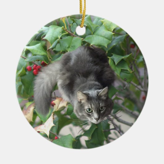 Kat met bessen Holly Ornament (Voorkant)