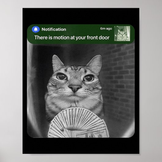 Kat Met Beweging Meme Ring Poster (Voorkant)