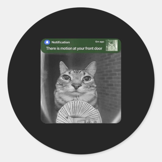 Kat Met Beweging Meme Ringen Ronde Sticker (Voorkant)