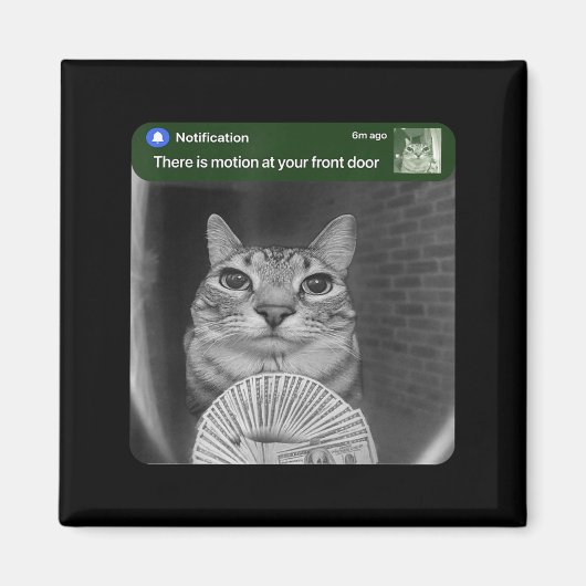 Kat Met Bewegingsmeme Ringen Magneet (Voorkant)