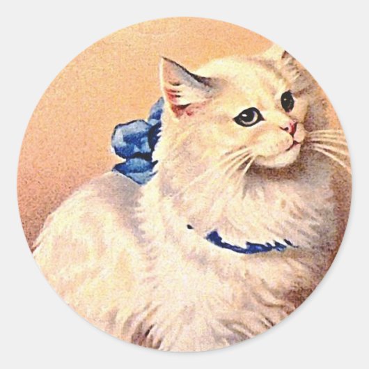  kat met blauwe poot ronde sticker (Voorkant)
