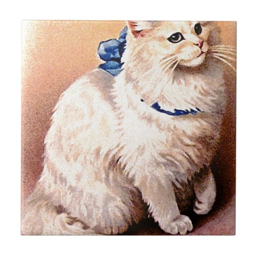  kat met blauwe poot tegeltje (Voorkant)