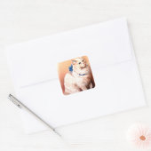  kat met blauwe poot vierkante sticker (Envelop)