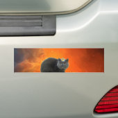 Kat met bloem bumpersticker (Op auto)