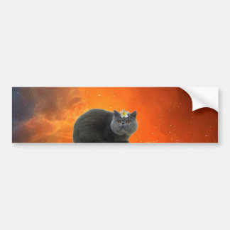 Kat met bloem bumpersticker