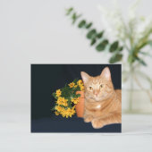 Kat met bloemen briefkaart (Staand voorkant)
